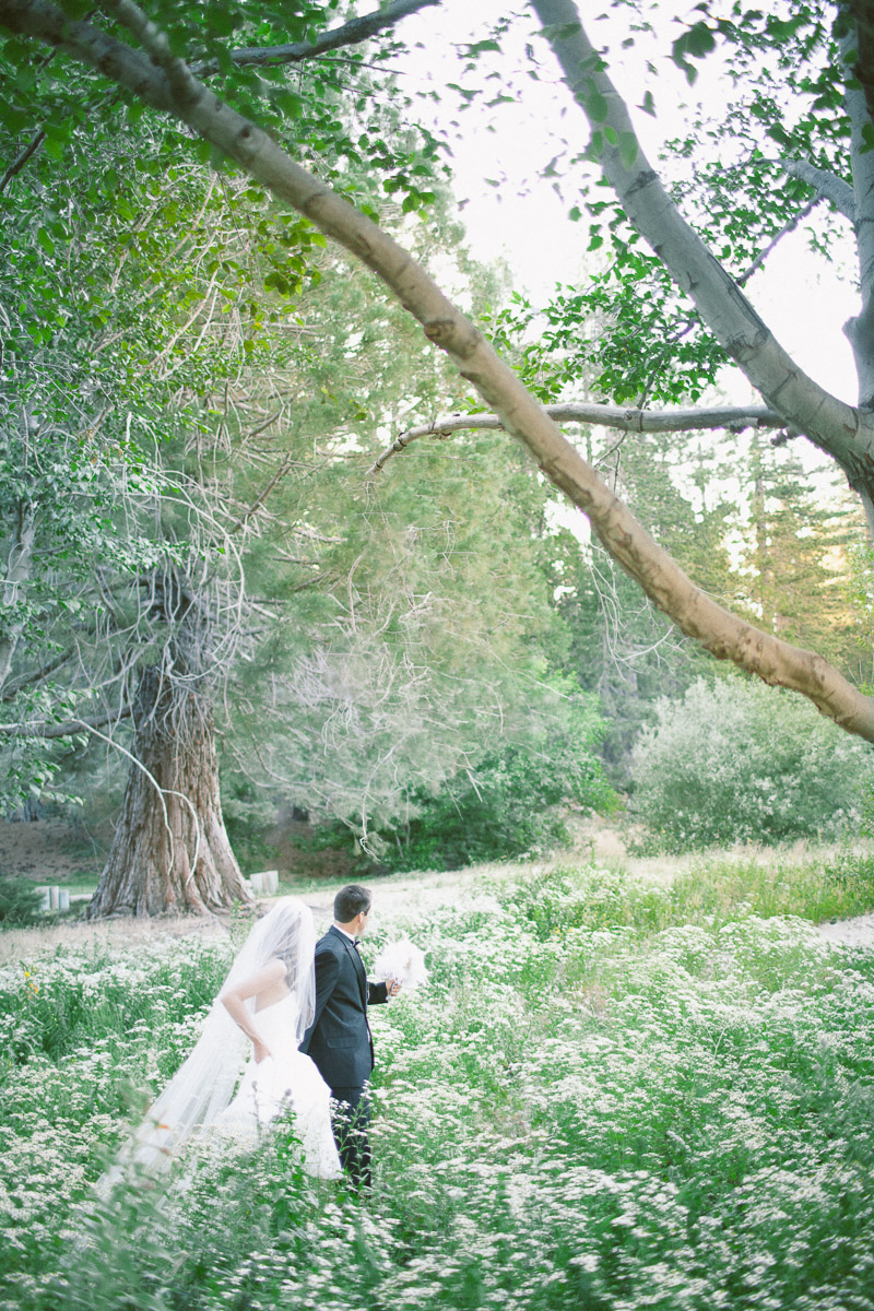 fine art wedding photographer, southern california fine art wedding photographer, fine art lifestylephotographer, fine art photographer, senior portrait photographer, family documentary photographer